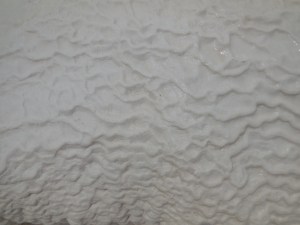 Photo Jun 01, 1 43 52 PM