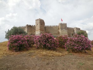 Photo Jun 02, 5 28 35 PM