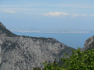 Photo May 19, 2 35 17 PM